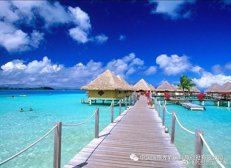 救援大嘴鸟