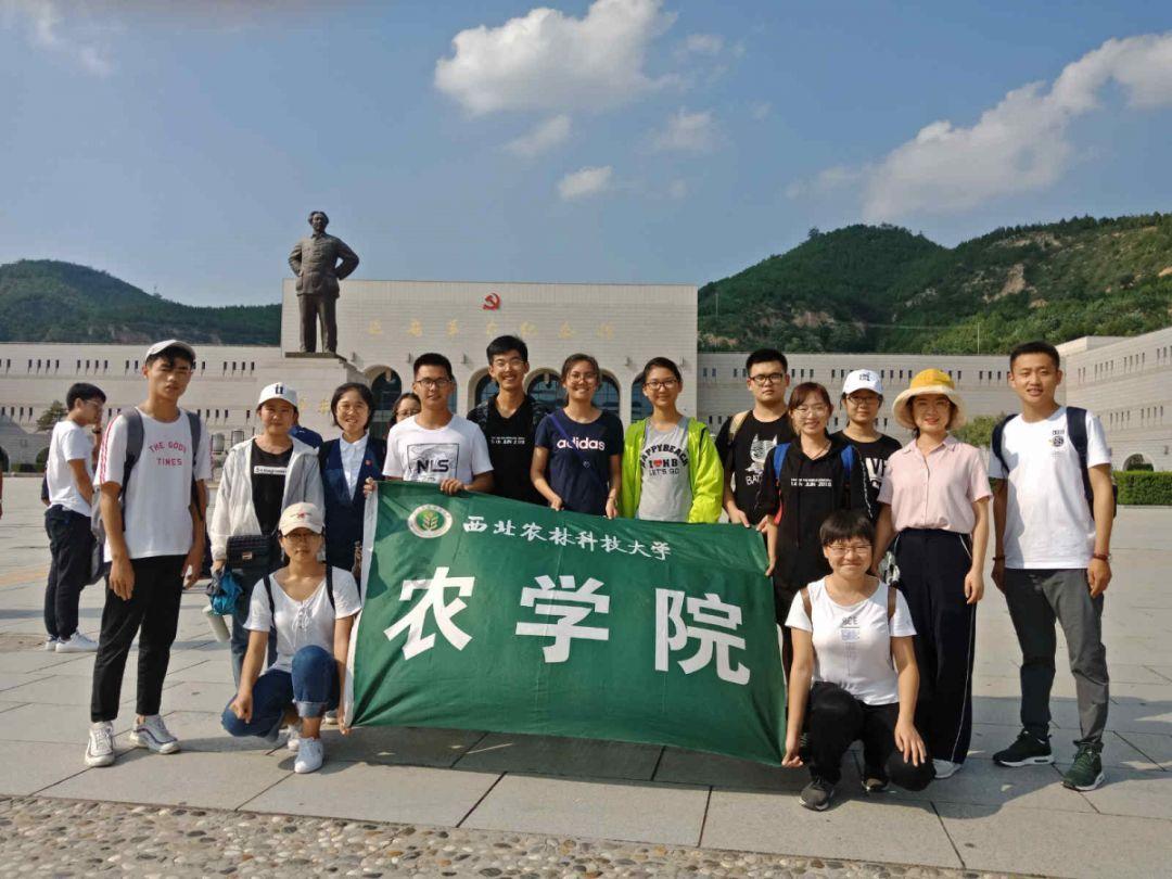 五步揉腹法,帮你排排毒、减减肚子!